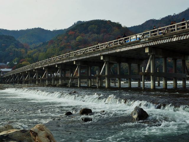 秋の渡月橋_渡月橋