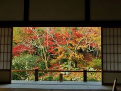 雷ちゃんさんの天龍寺（京都府京都市）の投稿写真8