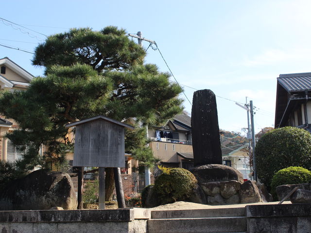 ZX̒ɏ̖؂ƐΔ̂_掛菼