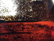 }񂳂̃hg[R[q[Vbv VVwX̓eʐ^1