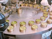 �Ƃ�����񂳂�̂������������������E�x�`�j�t�l�h�̓��e�ʐ^1