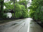 C[XgEbh̕Ɖ~̎X̓eʐ^1