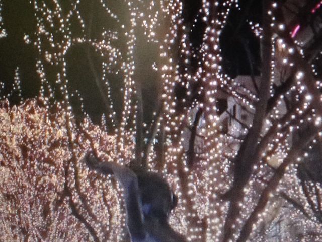 �C���~�l�[�V����_��T����