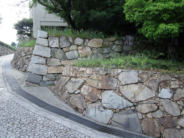 FXȈ󂵂̗LΊ__Rsۂ̉Yj