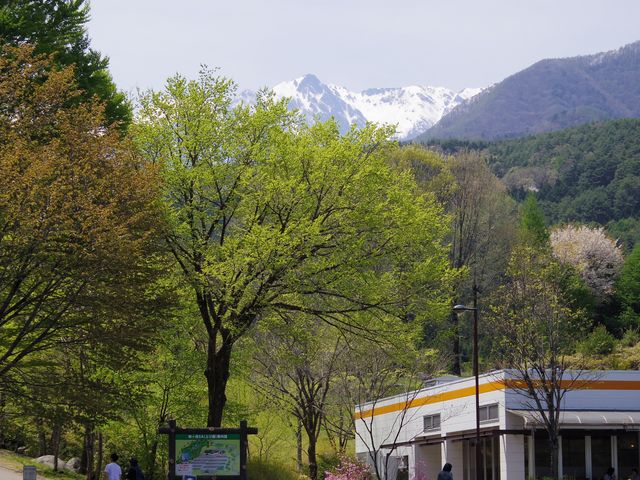 kiyohiko85jp̓x̓eʐ^1