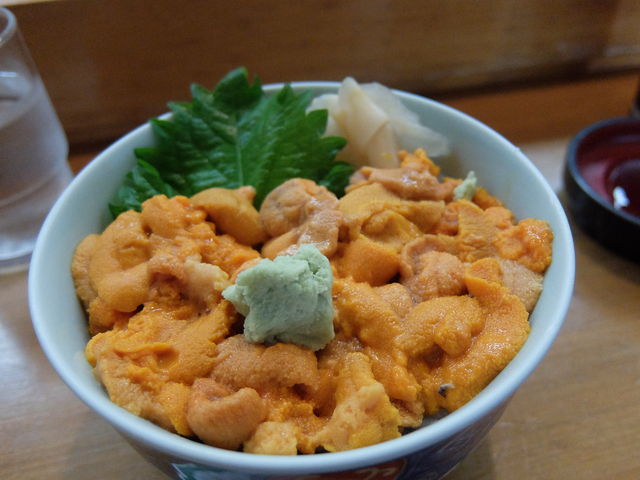 �G�]�o�t���E�j���܂�_�當��