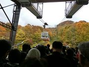 ɂǂ񂳂̊򉷐@bc][gze̓eʐ^1