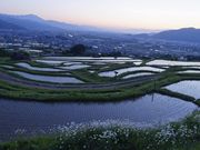 킩ԁ[̛Ĥ̒Ic̓eʐ^1