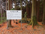 ˂񂳂̎RԐl̓̕eʐ^1