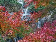 mayu̔MC~̍gt̓eʐ^1