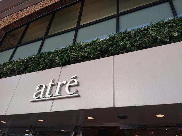 �אڂ���A�g���̊Ŕ�_�i�q�g�ˎ��w