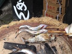 ���E�̋�����̍���䋬�݂��{�[�g�ւ̓��e�ʐ^5