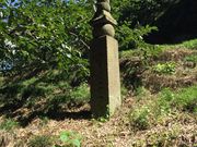 �ǂ炦���񂳂�̒��Γ��̓��e�ʐ^1