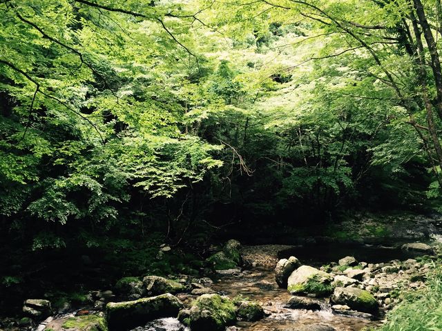 �ǂ炦���񂳂�̔���k�J�̓��e�ʐ^1