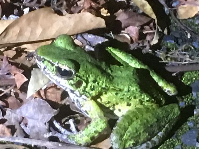 A}~niTLKGłB_όlbg[N