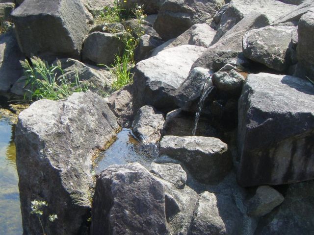 �u���̖����v�Ƃ�������_���̉w ����