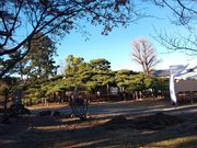 LCeB񂳂̘Ã}ci}j̓eʐ^1