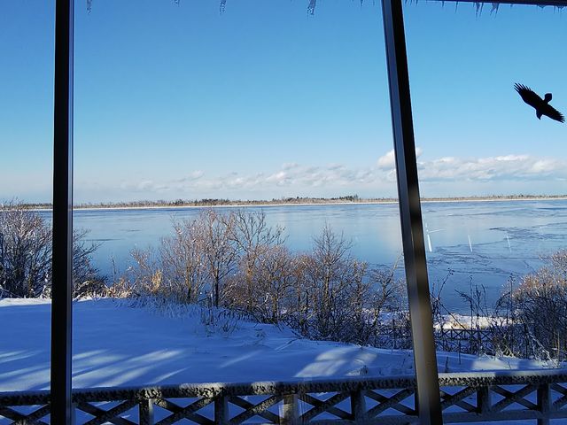 ������̐�i_���̉w �X�����S�S�˂ނ�