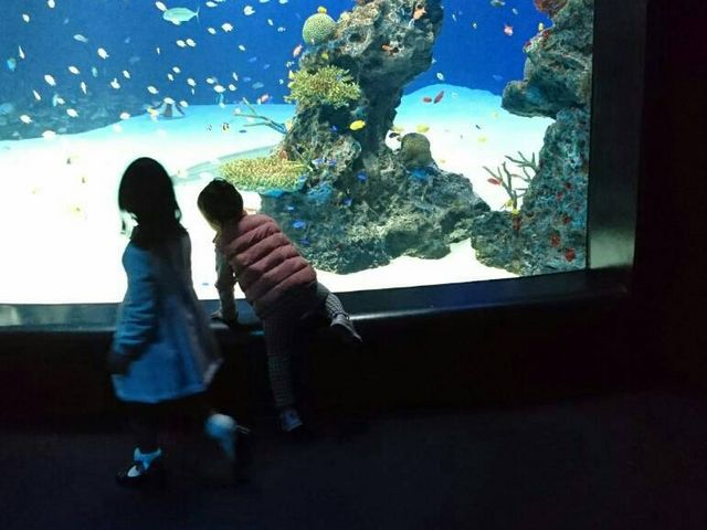 ���������ƂĂ��Y��_�}���z������