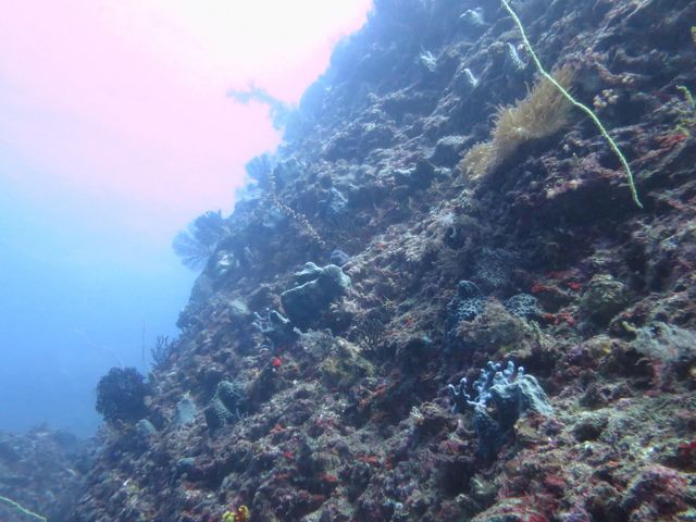 BėA_ɓ_CrOT[rX@UMIKOZOU