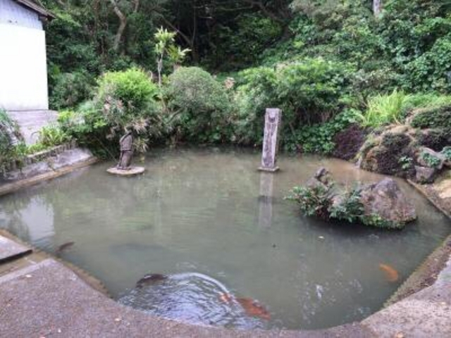 ��������񂳂�̊�҂̐�̓��e�ʐ^1