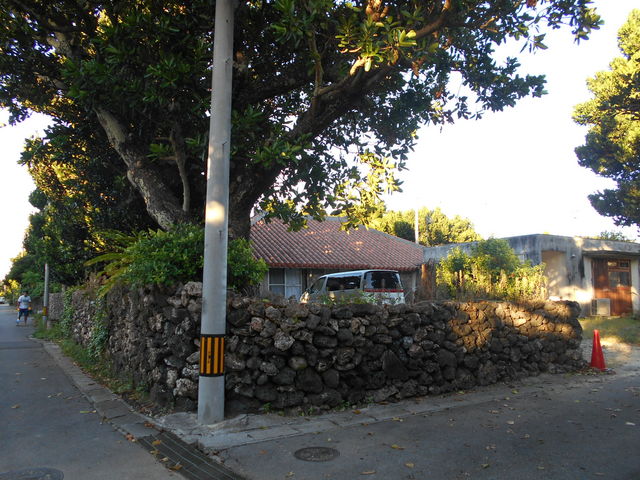 ۂ̏W͎U邾łył_ۊC