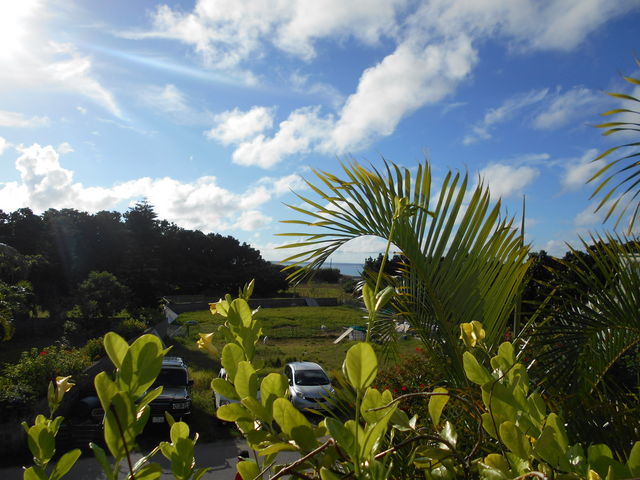 Ɍ̂ۊC݂łih̃x_j_ۊC