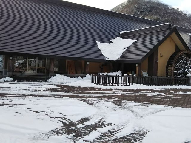 ���N�͍~�ᑁ�����ȁH_������@���̋�