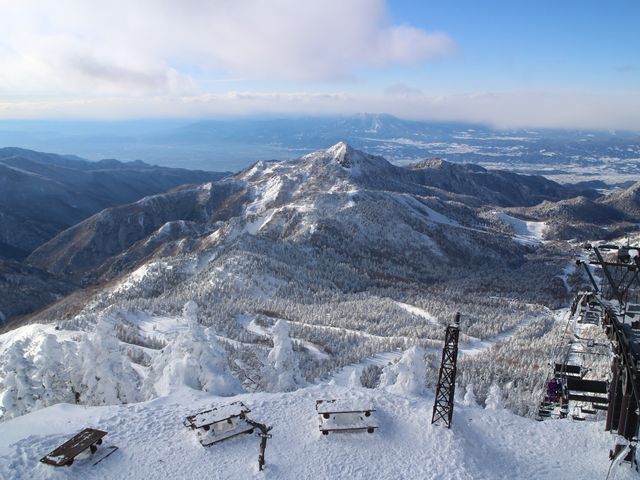 �W�]���肨�C�ɓ���̌i�F_�u�ꍂ������R�R��