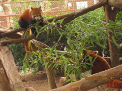 �����������̔M��o�i�i���j���ւ̓��e�ʐ^3