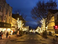 topology̑P\Qۂւ̓eʐ^1