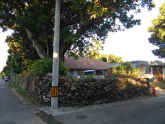 �ۂ񂽂���̔��ۊC�݂ւ̓��e�ʐ^1