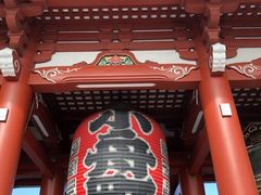 cinnamon̕󑠖ւ̓eʐ^1