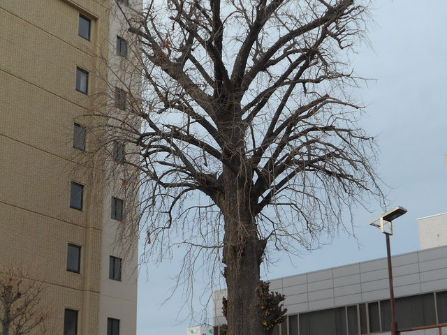 �傢���傤_��C�`���E