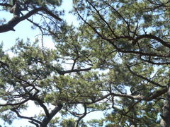 Ⴝ낤̓C؂ւ̓eʐ^1