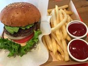 Mreẽt[hRVA ߐ{K[fAEgbg̓eʐ^1