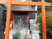 񂳂̍M\RcF_Ђ̓eʐ^1