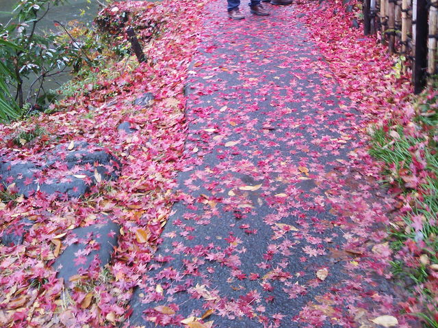 途中紅葉が綺麗だった。_愛宕神社