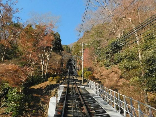 ���񂾂���z���}�ɂȂ�܂�_�����R�P�[�u���J�[�E��l���ό����t�g