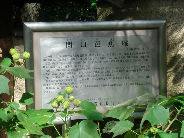 �����ɂ���ē���_�֌��m�Ԉ�