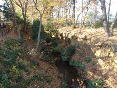 ぐうたらタラちゃんさんの玉川上水緑道（東京都立川市）の投稿写真1