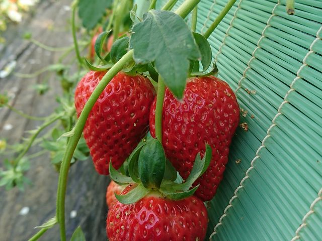 �S����������_�S��������