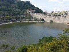 ���i����̋���_���ւ̓��e�ʐ^1