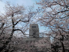 EGX^C[Xg̓}dS剪RwiڍE䒬jւ̓eʐ^1