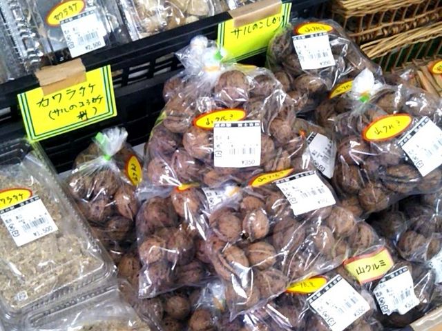 �R�̌b��_���̉w �x�m�g�c