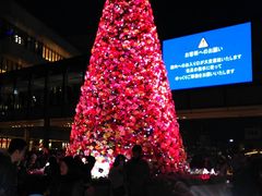 gCv[h񂳂̓\}`ւ̓eʐ^1