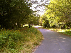 [oXeBA04̔Γւ̓eʐ^1