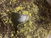 񂯂񂳂̃~X^[h[ic}؎swX̓eʐ^1