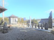 saikouyukuyo̔_Ђ̓eʐ^4