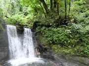 ɂǂ񂳂̂񂯂̓eʐ^2